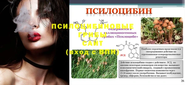 дурь Алексеевка