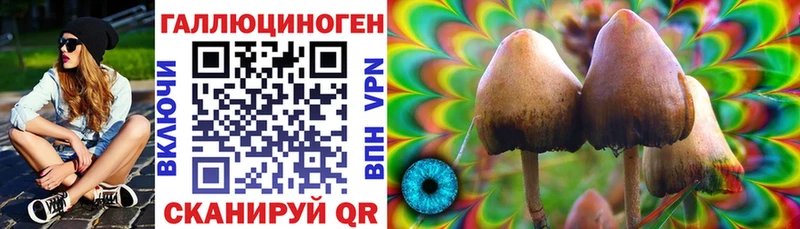 Псилоцибиновые грибы ЛСД  darknet клад  Уссурийск 