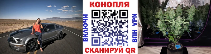 Каннабис Ganja  Уссурийск 